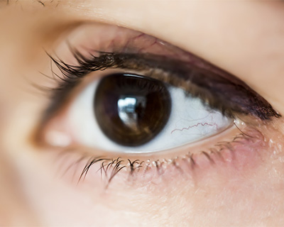 Can two blue-eyed parents have a green or brown-eyed child? - The Tech  Interactive