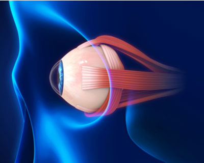 Eye Anatomy: Parts of the Eye and How We See - American Academy of