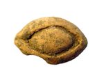 A yellow-brown almond shaped aged clay piece, in the shape of an eye. It has a chunk missing on the bottom left. 